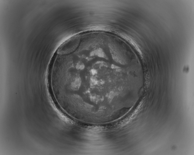 X0000101160991200806271005