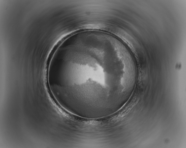 X0000101160992200806271005
