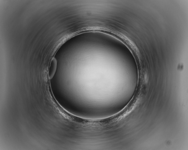X0000101160993200806271005