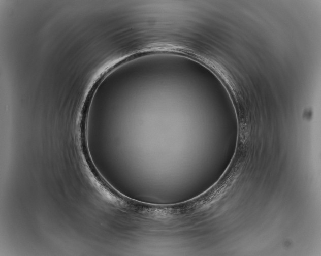 X0000101160995200806271005