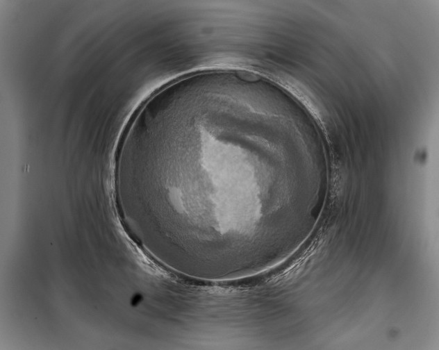 X0000101160996200806271005