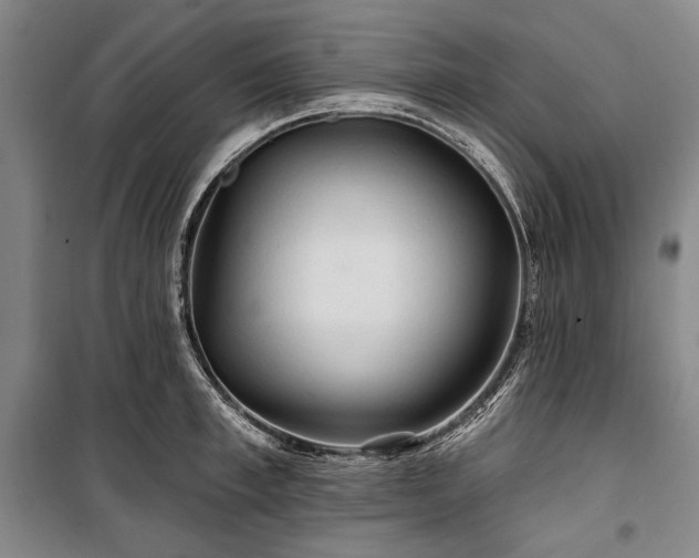X0000101160997200806271005