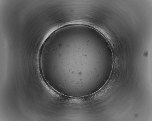 X0000101160998200806271005