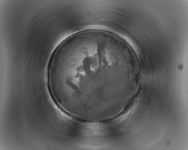 X0000101160999200806271005