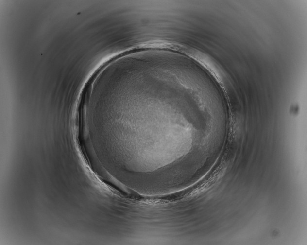 X0000101161000200806271005