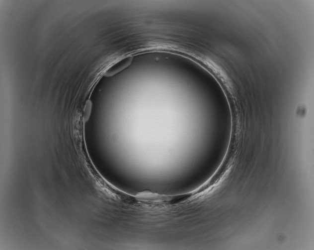 X0000101161001200806271005