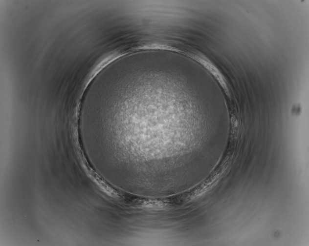 X0000101161002200806271005