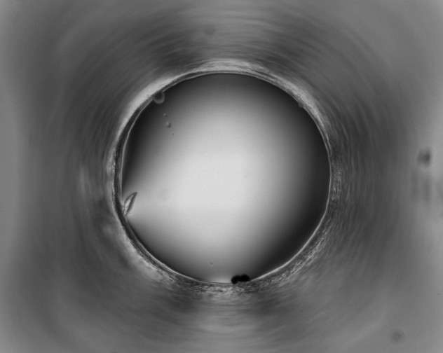 X0000101161003200806271005
