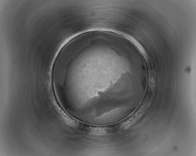 X0000101161004200806271005