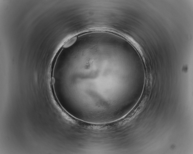 X0000101161005200806271005