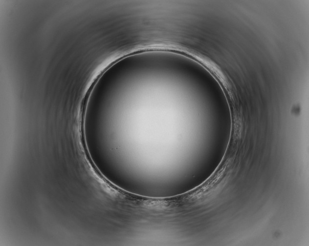 X0000101161006200806271005