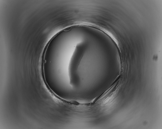 X0000101161007200806271005