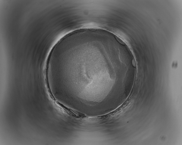 X0000101161008200806271005