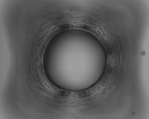 X0000101161009200806271004