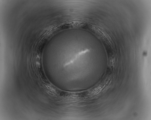 X0000101161010200806271004