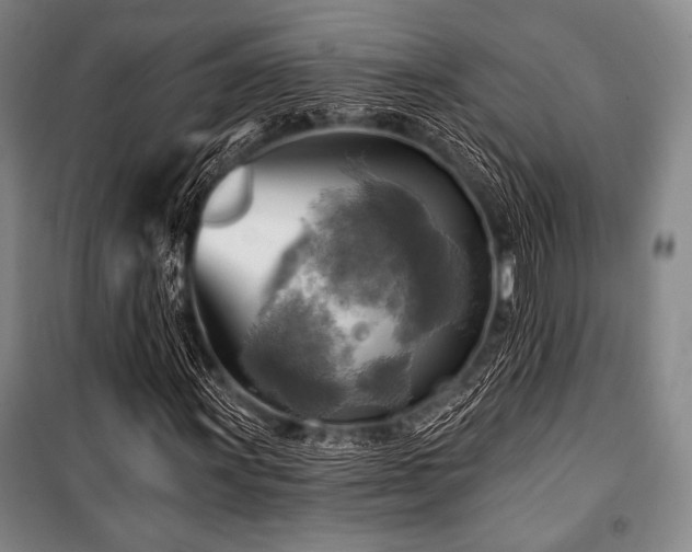 X0000101161011200806271004