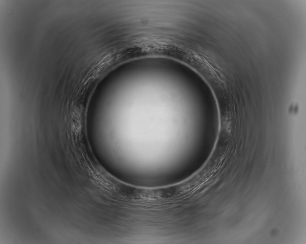 X0000101161012200806271004