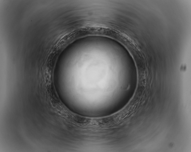 X0000101161013200806271004