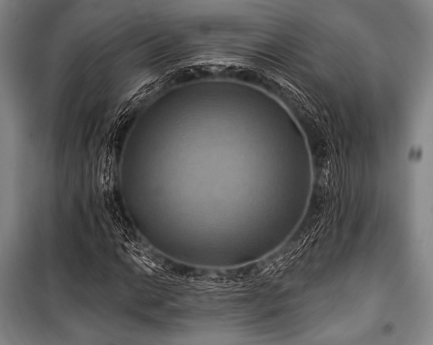 X0000101161014200806271004