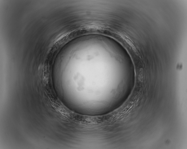 X0000101161015200806271004