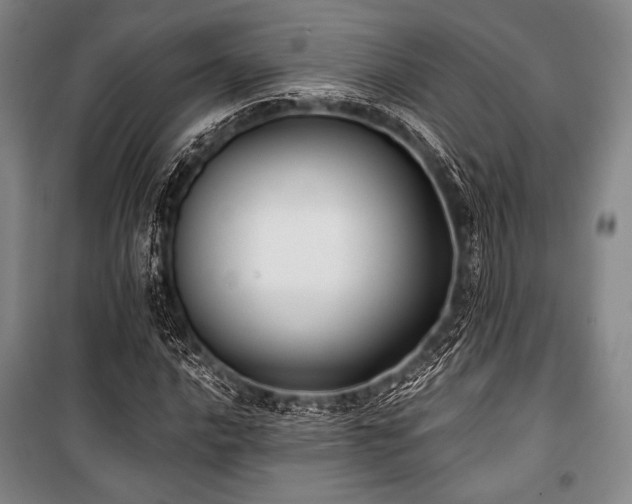 X0000101161016200806271004