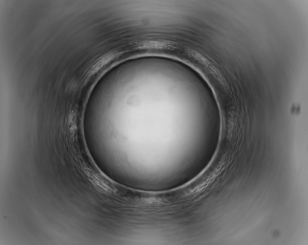 X0000101161017200806271004