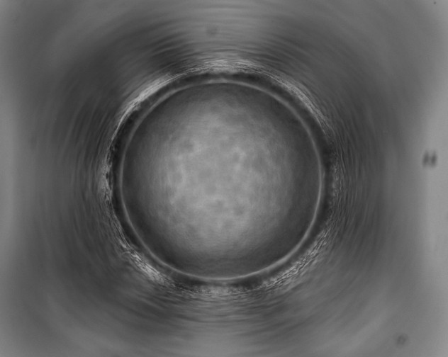 X0000101161018200806271004