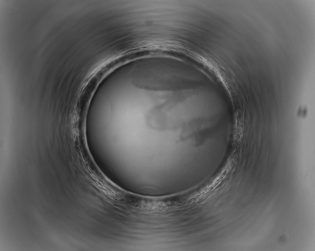 X0000101161019200806271004