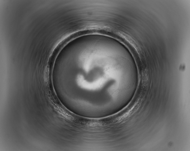 X0000101161021200806271004