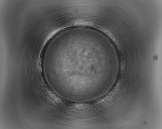 X0000101161022200806271004