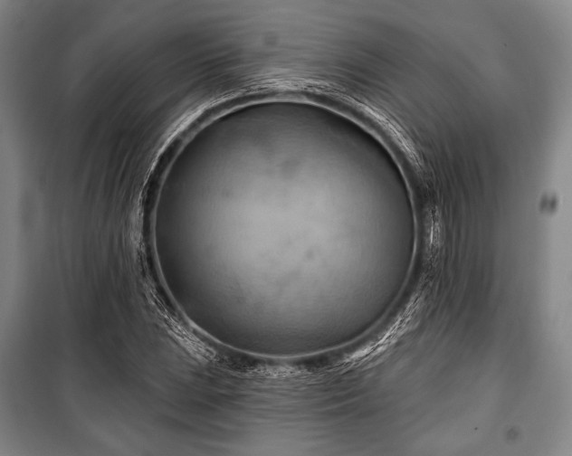 X0000101161023200806271004