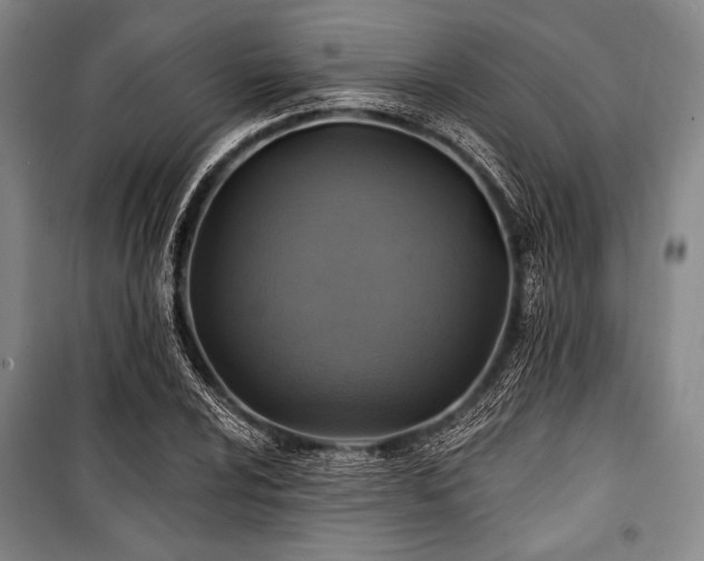 X0000101161024200806271004