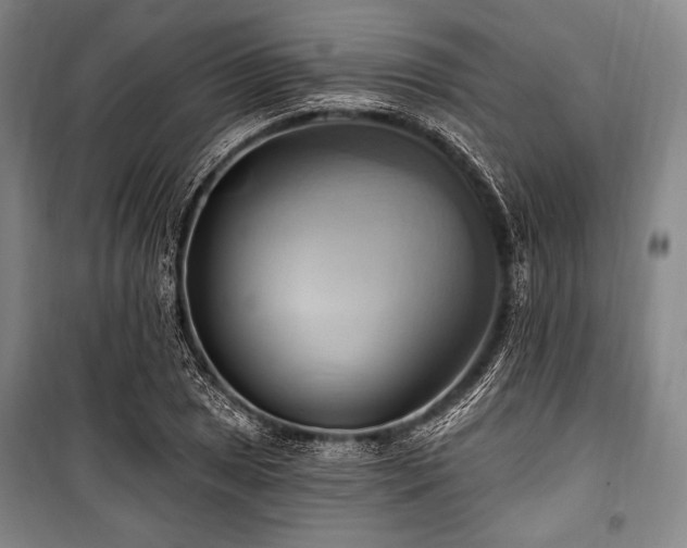 X0000101161025200806271004