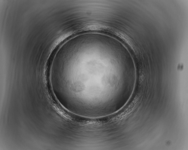 X0000101161026200806271004