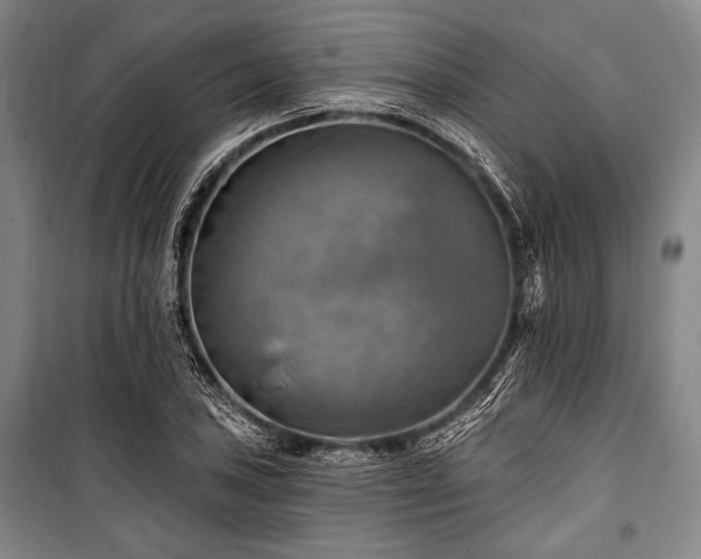 X0000101161027200806271004