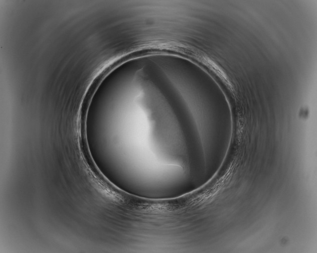 X0000101161028200806271004