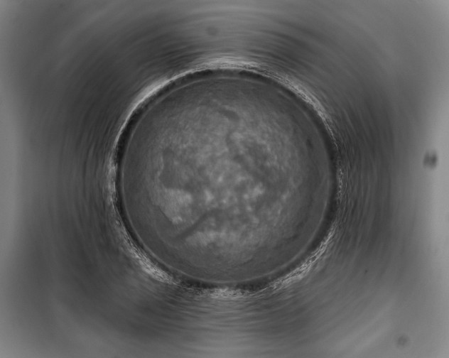 X0000101161029200806271004
