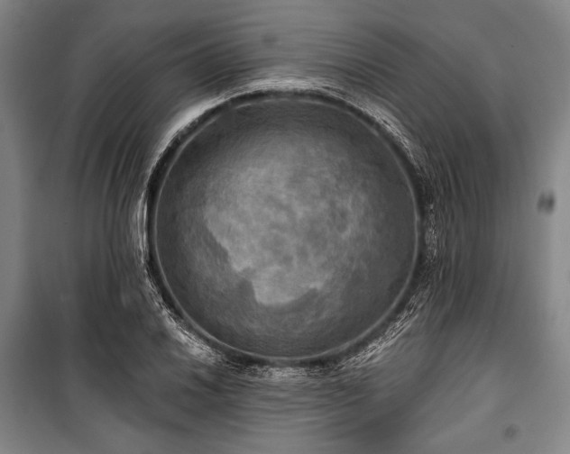 X0000101161030200806271004