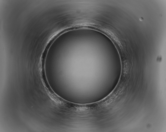 X0000101161031200806271004