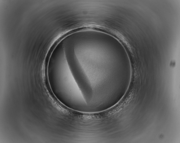 X0000101161032200806271004