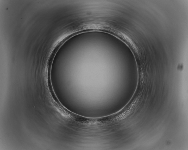 X0000101161035200806271004