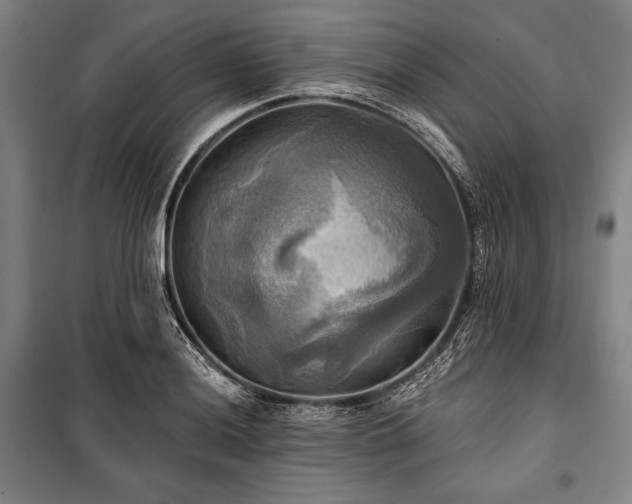 X0000101161036200806271004