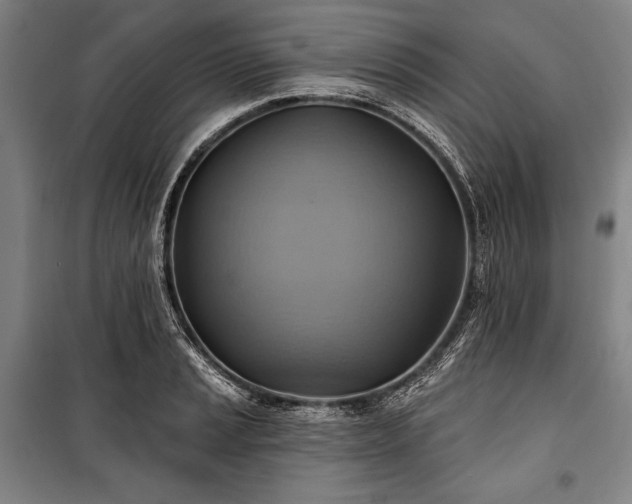 X0000101161037200806271004