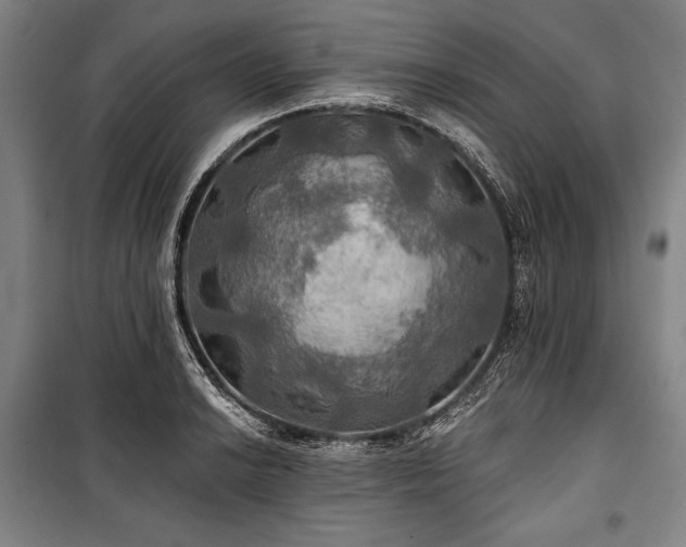 X0000101161038200806271004