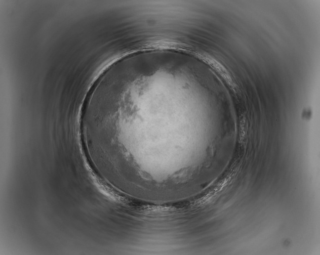 X0000101161039200806271004