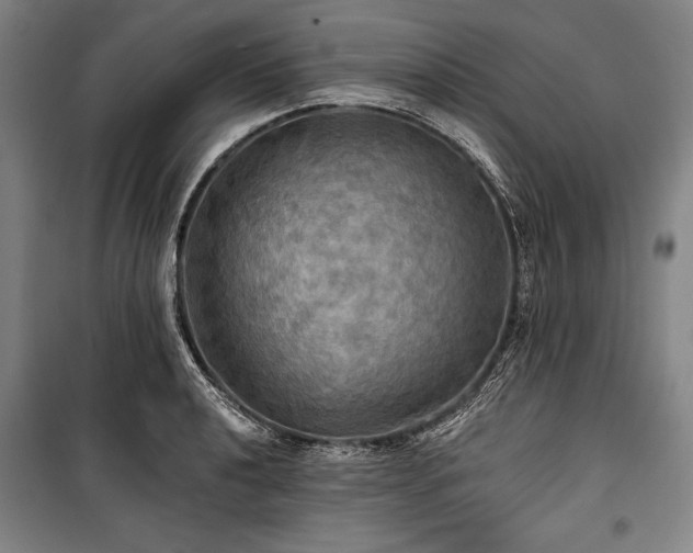 X0000101161040200806271004