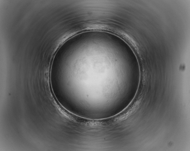 X0000101161041200806271004