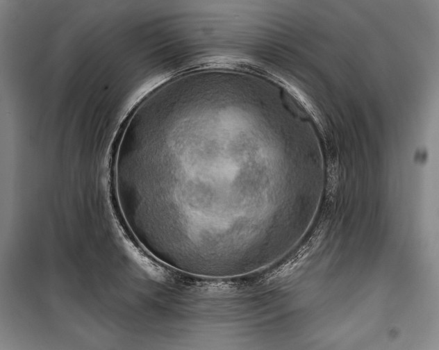 X0000101161042200806271005