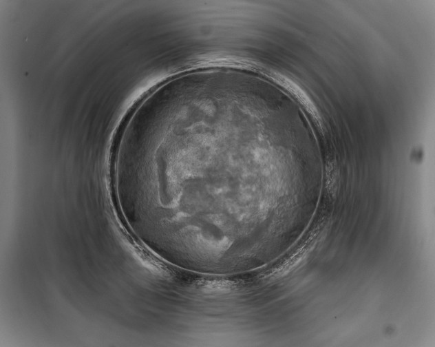 X0000101161043200806271005