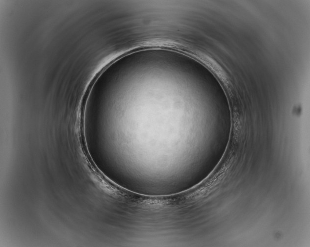 X0000101161044200806271005